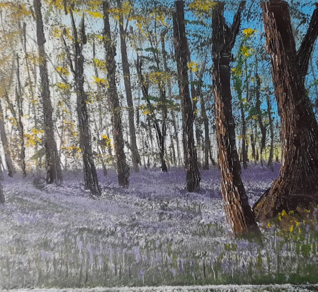 Bluebell Woods
