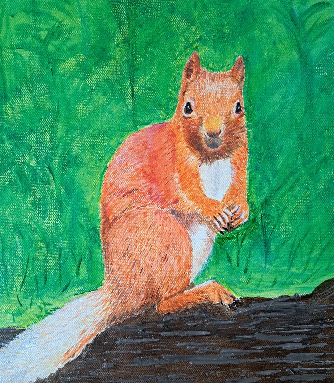 Red Squirrel